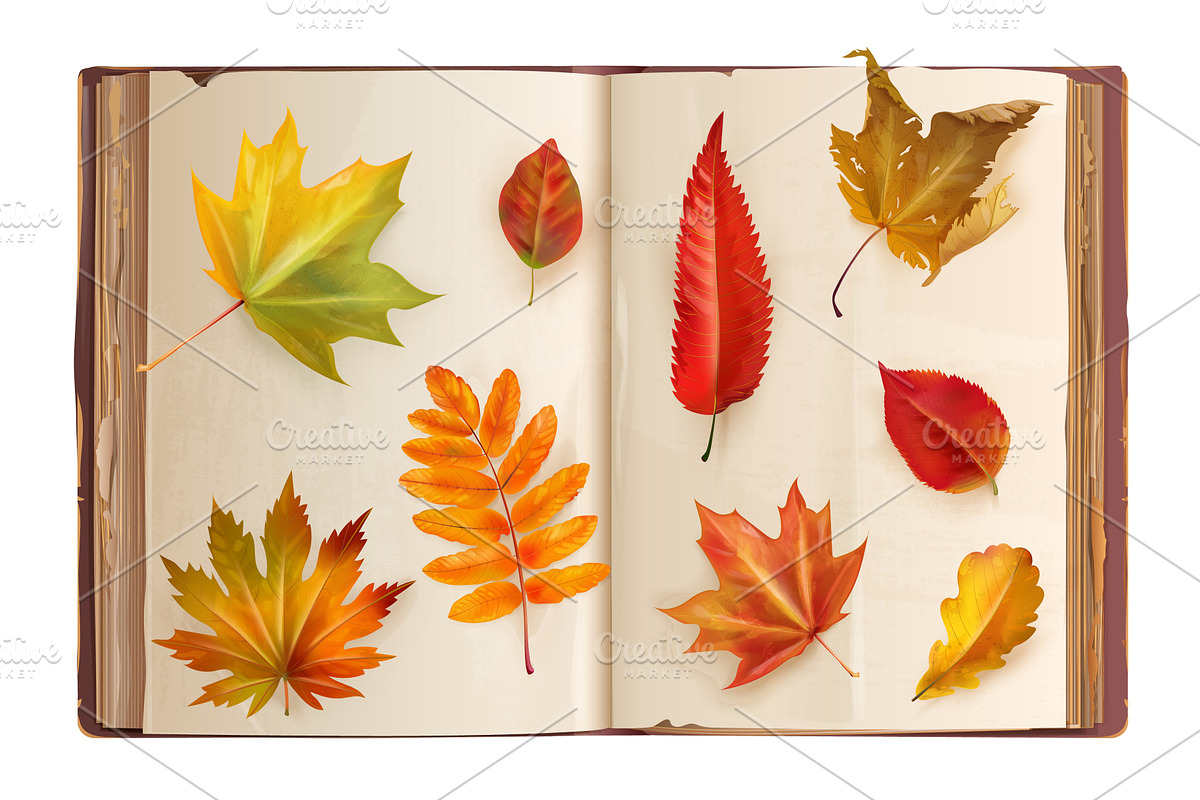 Herbarium. Realistic book with, an Object Illustration by Stock-Smart-Start