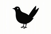 Bird Silhouette design bundle, an Illustration by BIPLOB EXPERT (Thumbnail 4 of 13)