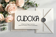 Cudoxa | Modern Luxury Serif Typefac, a Serif Font by Astuti Studio (Thumbnail 12 of 25)