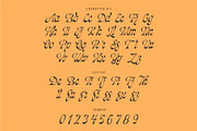 Blackshiny, a Script Font by ManType (Thumbnail 3 of 7)