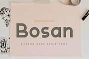 Bosan, a Sans Serif Font by twinstd (Thumbnail 1 of 11)