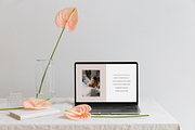 About Page • Elementor Template, a WordPress Template by Jordanne Co. Websites (Thumbnail 4 of 5)