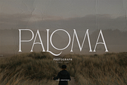 Gibme Foggie | Modern Elegant Serif, a Serif Font by Denustudios (Thumbnail 4 of 12)