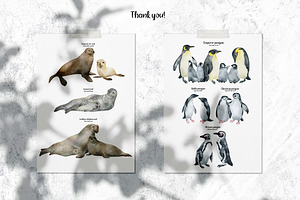 Antarctic Animals Watercolor