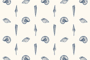 10 Hand Drawn Seashell + 5 Patterns, an Object Illustration by Storyteller Imagery (Thumbnail 3 of 7)