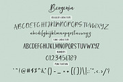 Bergenia Script FONT DUO, a Script Font by Zane Studio (Thumbnail 8 of 8)