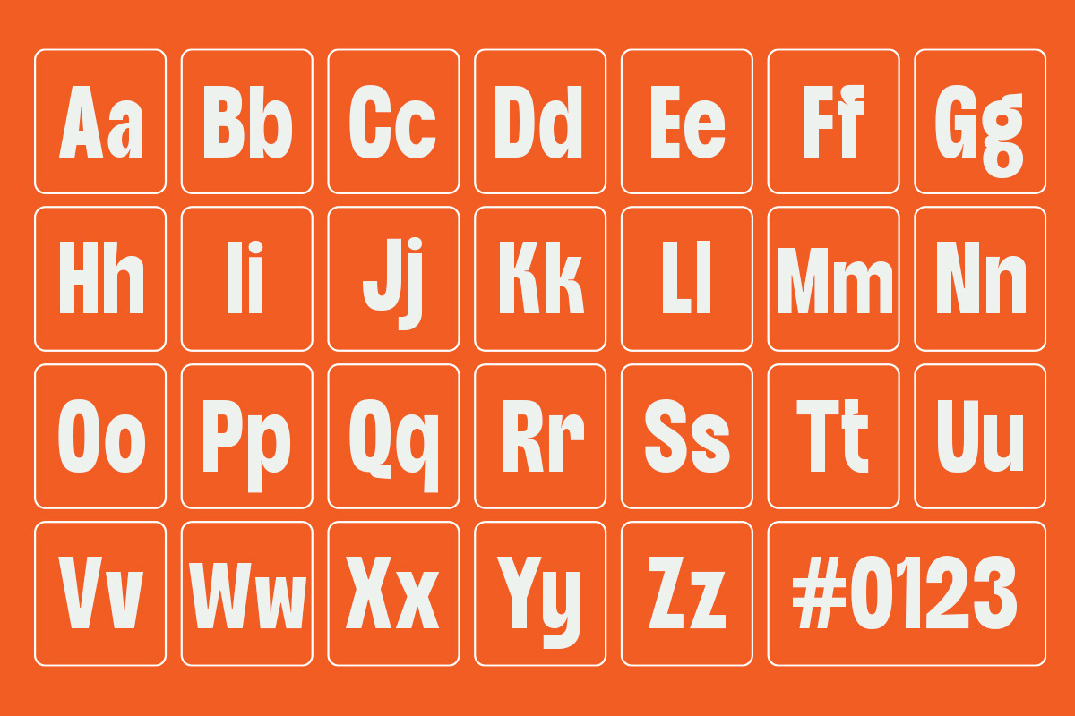 Thronus Sans Display Condendsed, a Sans Serif Font by OV Type (Photo 3 of 12)