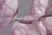 Lapierro Script, a Script Font by GlottaTypeface (Thumbnail 2 of 8)