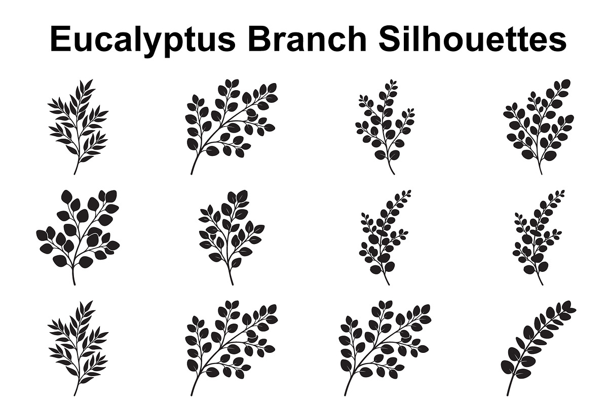 Eucalyptus Leaf Branch Collection, an Object Graphic by Designer_Momina (Photo 1 of 3)