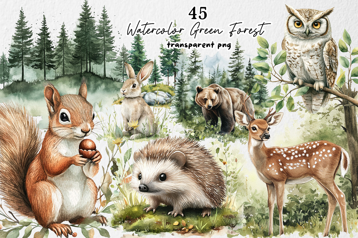 Watercolor Green Forest Clipart, an Illustration by Dream Creation (Photo 1 of 8)