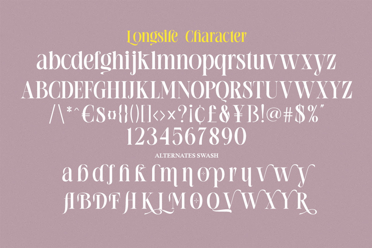 Longsile, a Serif Font by studiobasic (Photo 9 of 9)