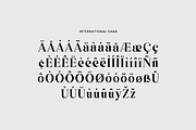 Stanbriged Classy Vintage Serif Font, a Serif Font by UICreative (Thumbnail 8 of 13)