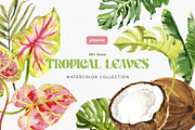 Botanical BUNDLE 10 in 1, a Decorative Illustration by Volha Studio (Thumbnail 6 of 11)