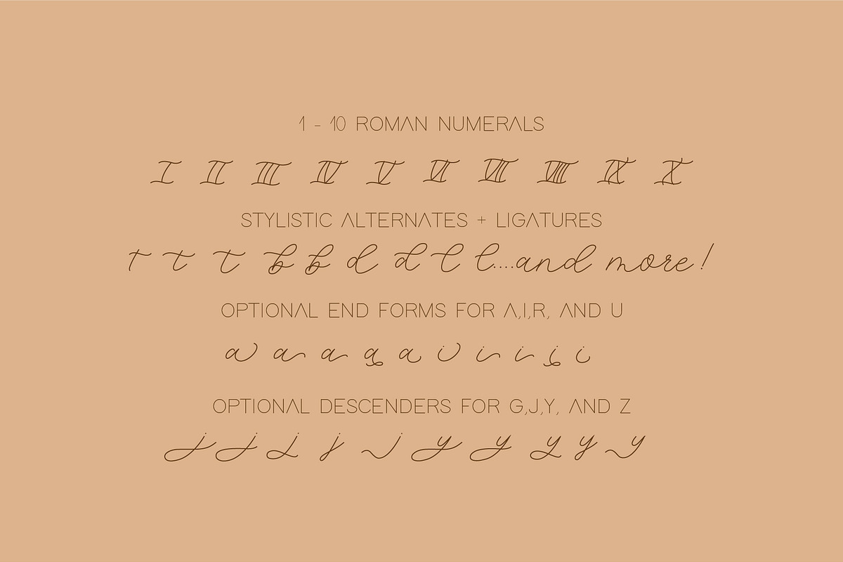 Lemon Line Single Line Font, a Font by Design by Laney (Photo 5 of 14)
