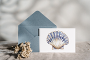 Seashell Clip Art Seashell Clipart, a Decorative Illustration by Paper Artsthetics (Thumbnail 3 of 4)