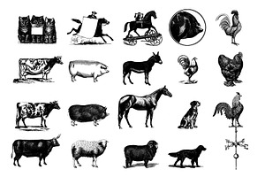 Animals Vector Vintage Illustrotions