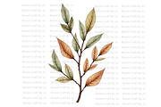 Dried Eucalyptus Branches, a Decorative Illustration by Bloom Craft Creations (Thumbnail 9 of 10)