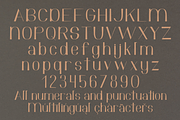 Pantoja sans serif, a Sans Serif Font by Quothron (Thumbnail 8 of 8)