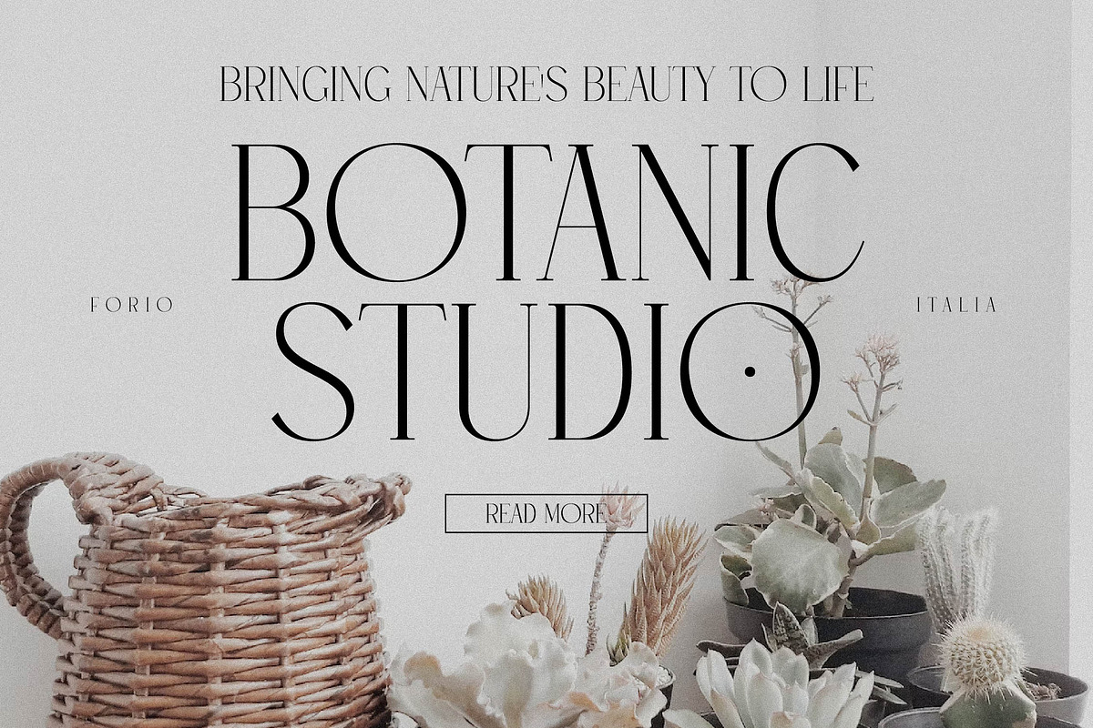 Qelthan A Modern Serif Display, a Serif Font by Storytype Studio (Photo 6 of 15)