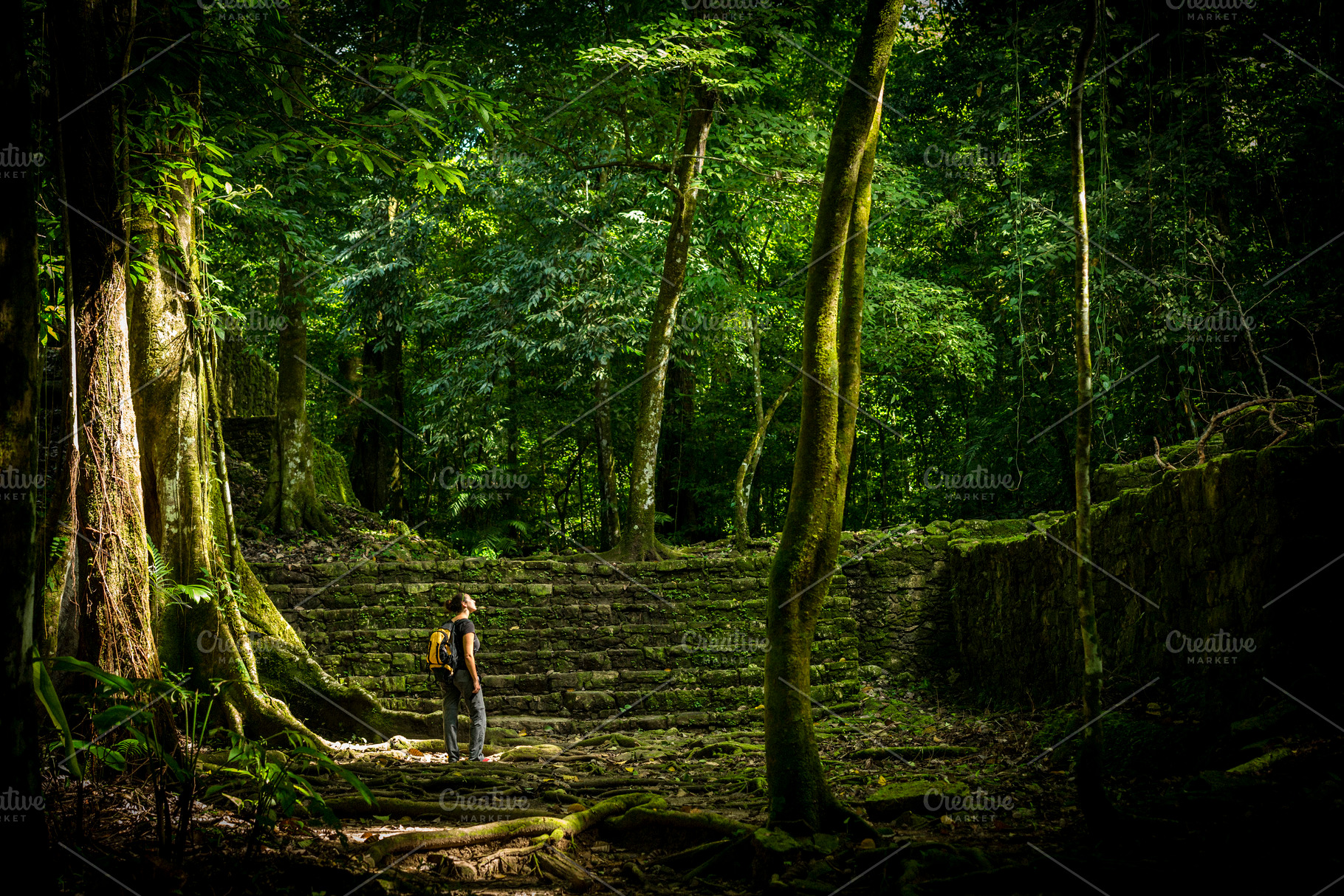 Adventure Travel In Jungle, a Person Photo by THP Creative
