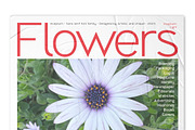 inceptum - Sans serif font family, a Sans Serif Font by Artistic & Unique (Thumbnail 9 of 12)