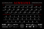 Dread Gothic Typeface, a Blackletter Font by alit design (Thumbnail 13 of 22)