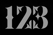 Sparke - Floral Futuristic Serif, a Serif Font by Drizy (Thumbnail 5 of 8)
