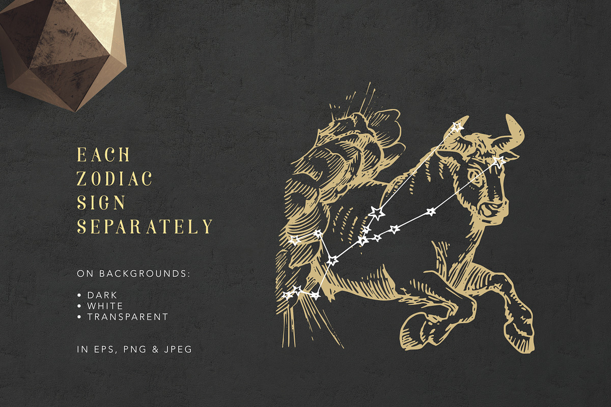 Astrology Zodiac Collection, a Decorative Illustration by Chewie Co (Photo 10 of 15)
