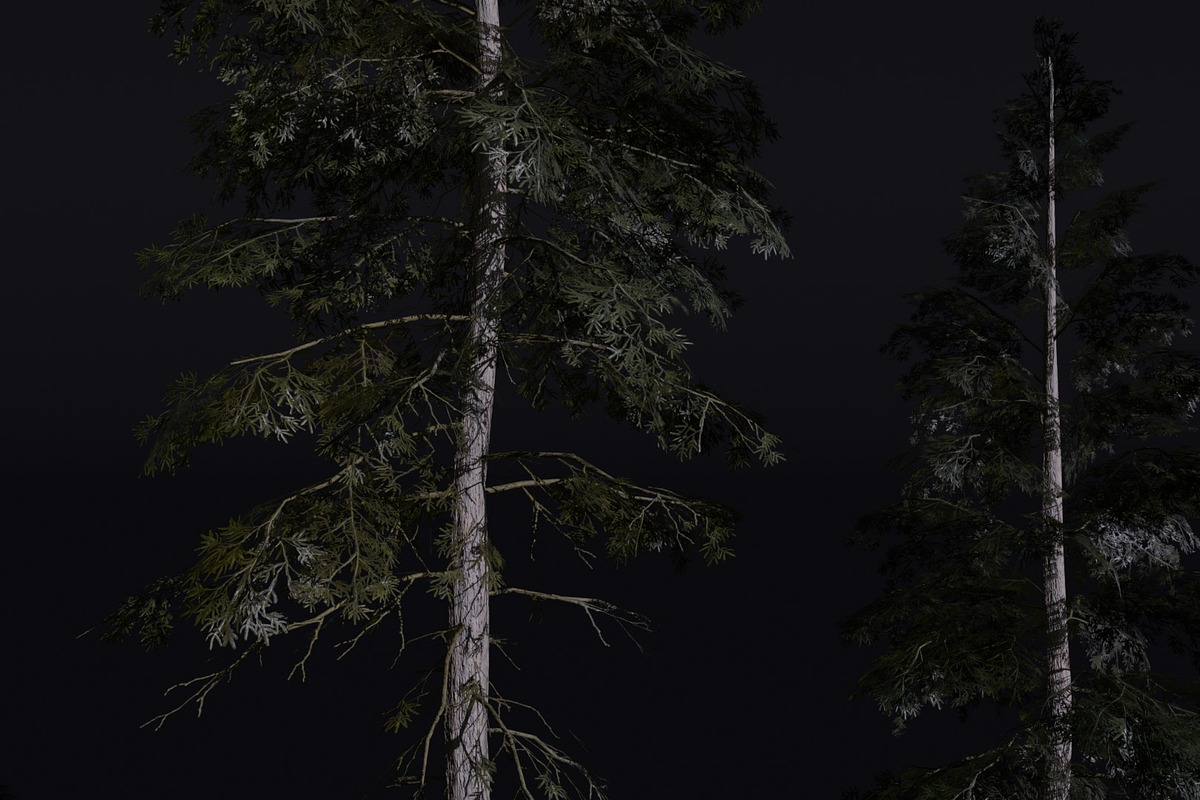 The Norway Spruce Tree, a Plants & Tree 3D Model by FuturePastCreatives (Photo 2 of 7)