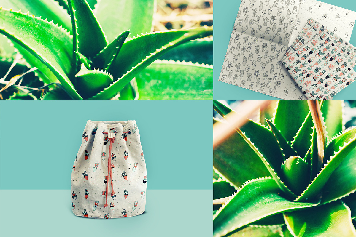 CACTUSES 6 seamless patterns, a Pattern Graphic by SomStock (Photo 2 of 3)