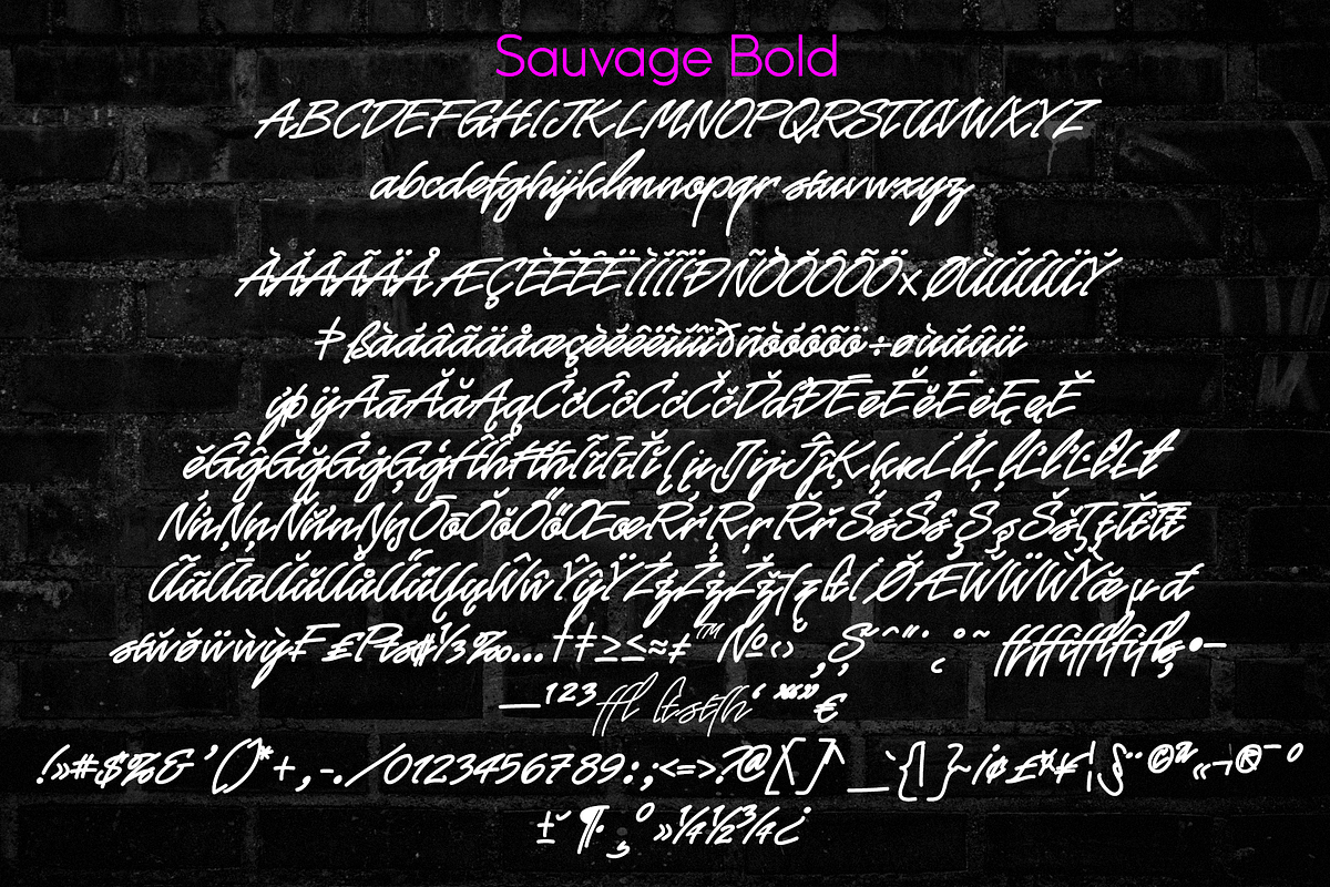 Sauvage - Monoline Script Family, a Script Font by Jvne77 (Photo 5 of 6)