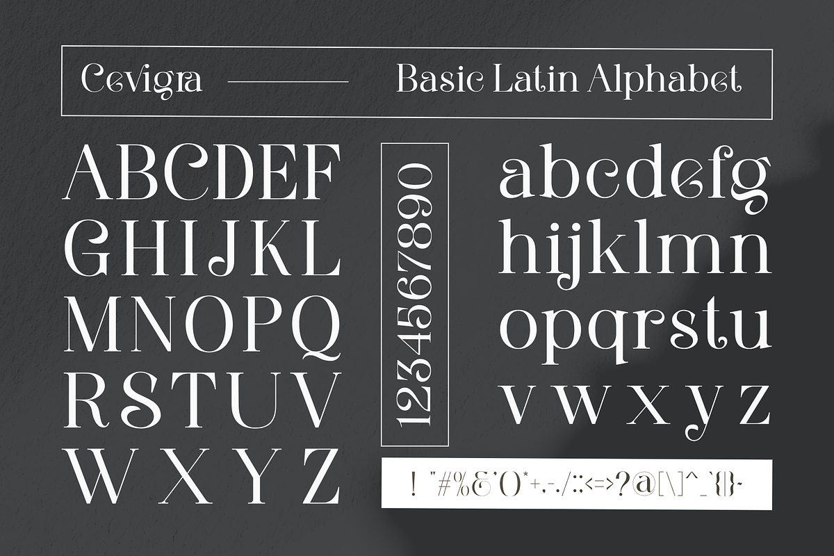 Cevigra Elegant Serif Font, a Serif Font by Graphicxell (Photo 3 of 11)