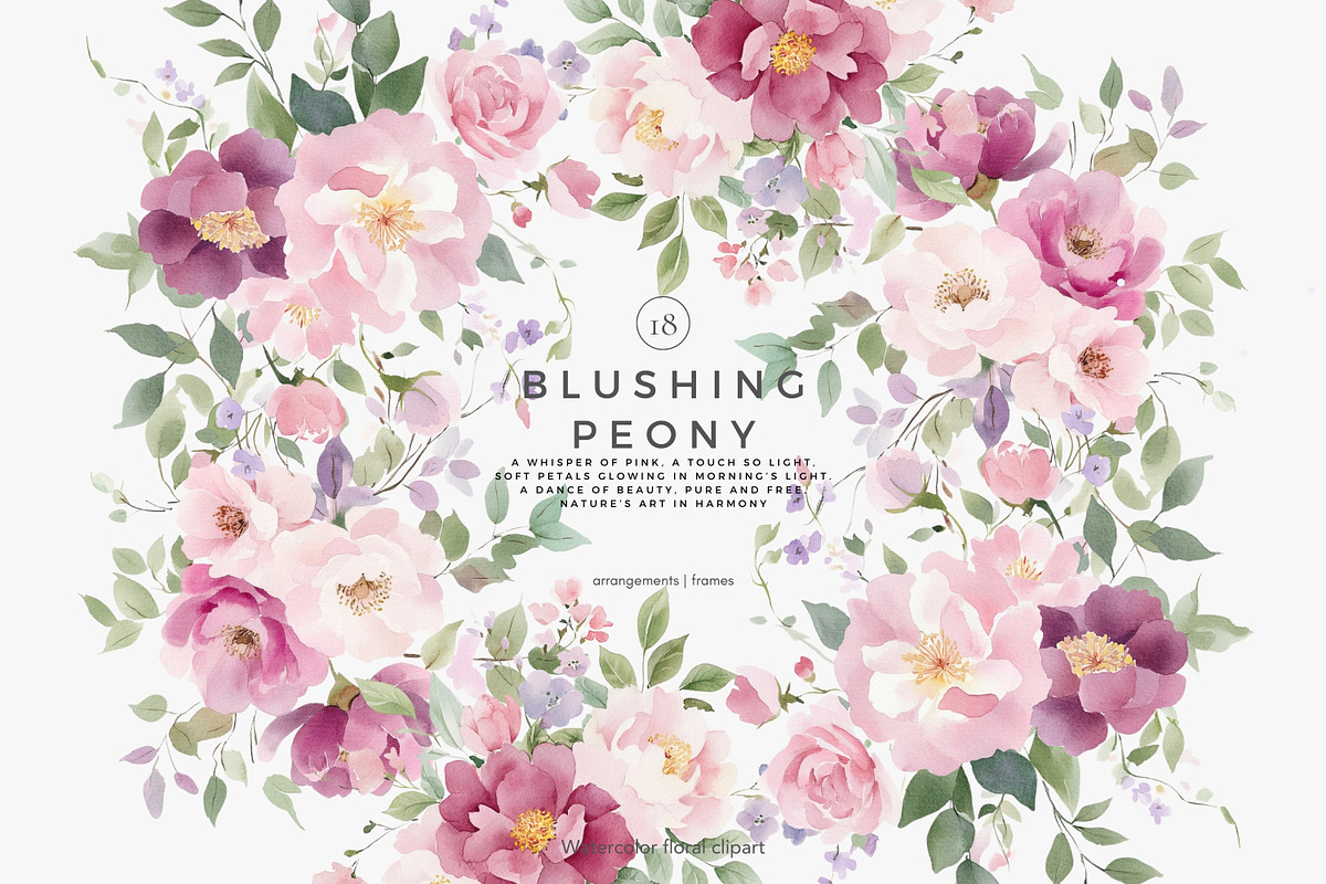 floral clipart watercolor peonies, a Decorative Illustration by Patishop Art (Photo 2 of 10)
