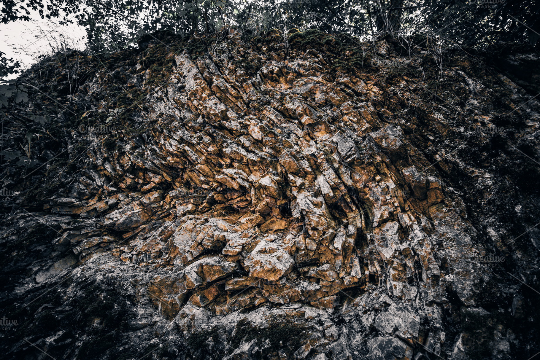 Prague Prokop valley #1, a Nature Photo by jakub_kopecky