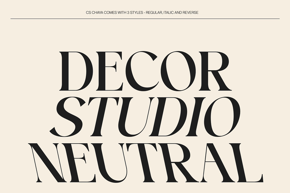 CS Chaya – Modern Serif Font, a Serif Font by Craft Supply Co. (Photo 7 of 8)