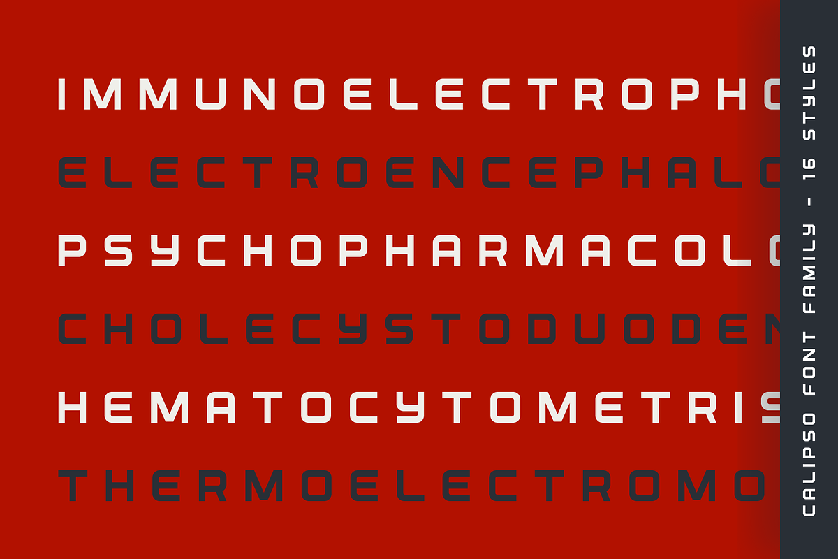 Calipso Font Family - 16 Fonts, a Sans Serif Font by alpercakici (Photo 9 of 15)