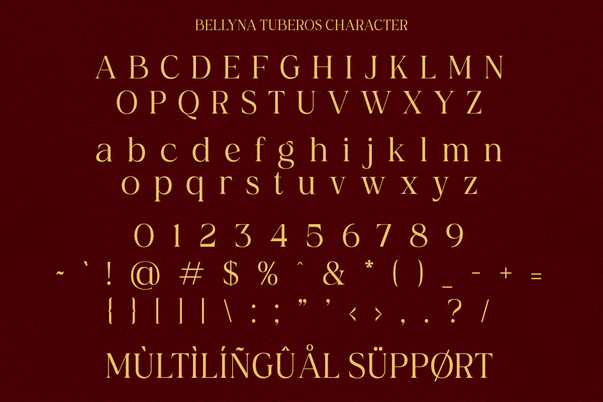Bellyna Tuberos - Elegant Serif, a Serif Font by RagamKata (Photo 9 of 10)