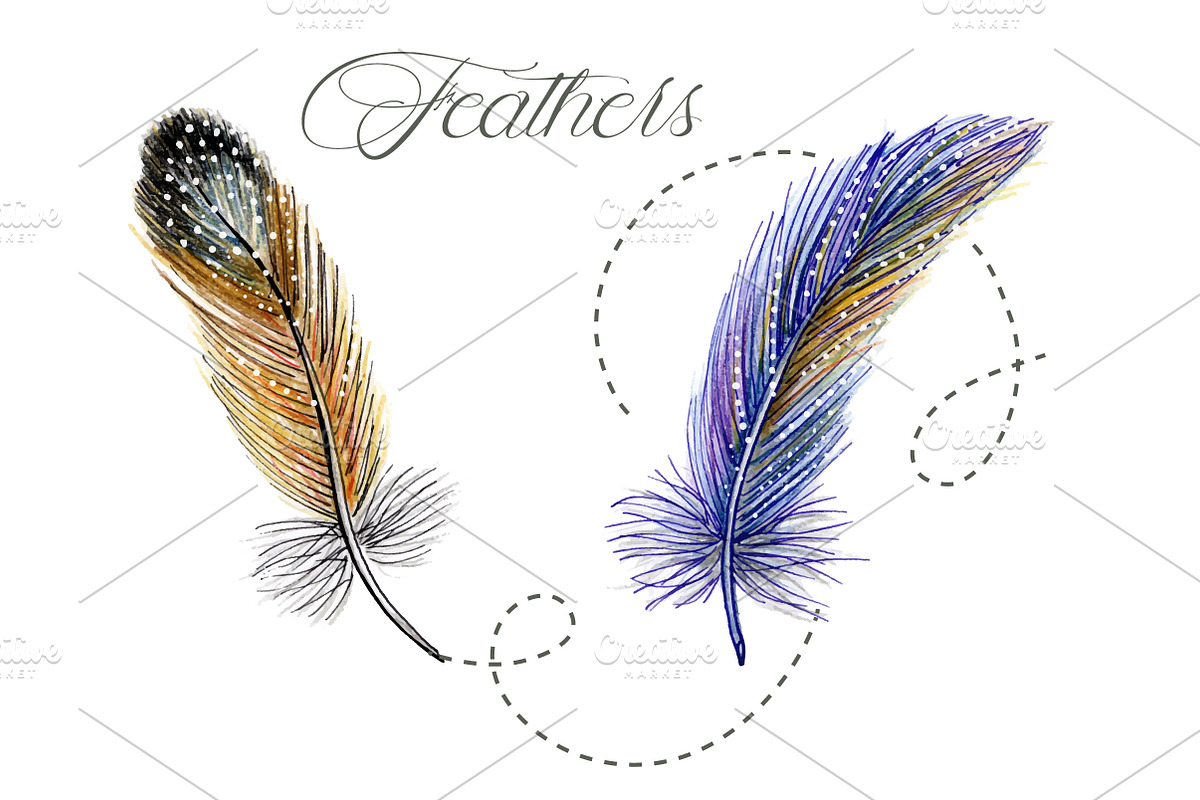 Feathers watercolor, an Animal Illustration by El Design