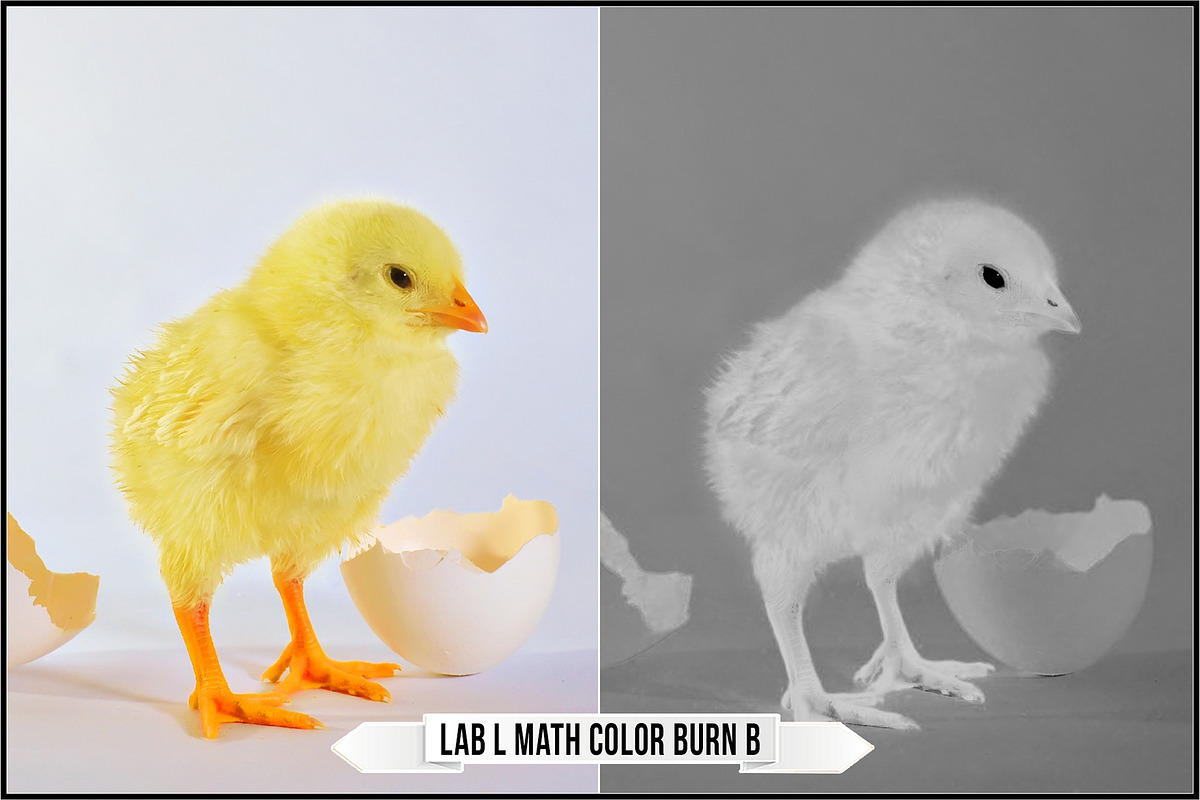 LAB Color V. 2 - Monochrome profiles, a Plug-in Add-On by Raztrend (Photo 26 of 30)