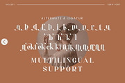 Valleki - Beautiful Serif Font, a Serif Font by Aqeel_Art (Thumbnail 11 of 12)