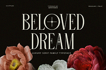 Beloved Dream - 10 Variable Font