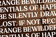 Neraphic A Modern Serif Font, a Serif Font by Storytype Studio (Thumbnail 5 of 15)
