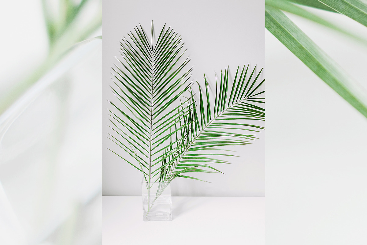Modern & Fresh Palm Leaves, an Arts & Entertainment Photo by Light & Grace (Photo 1 of 2)