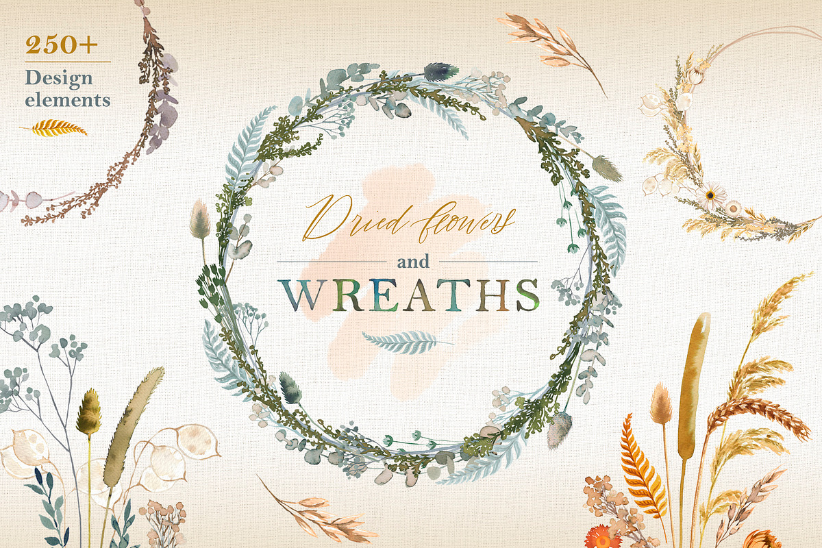 Dried flowers & wreaths, watercolor, an Illustration by Lore_V (Photo 1 of 11)