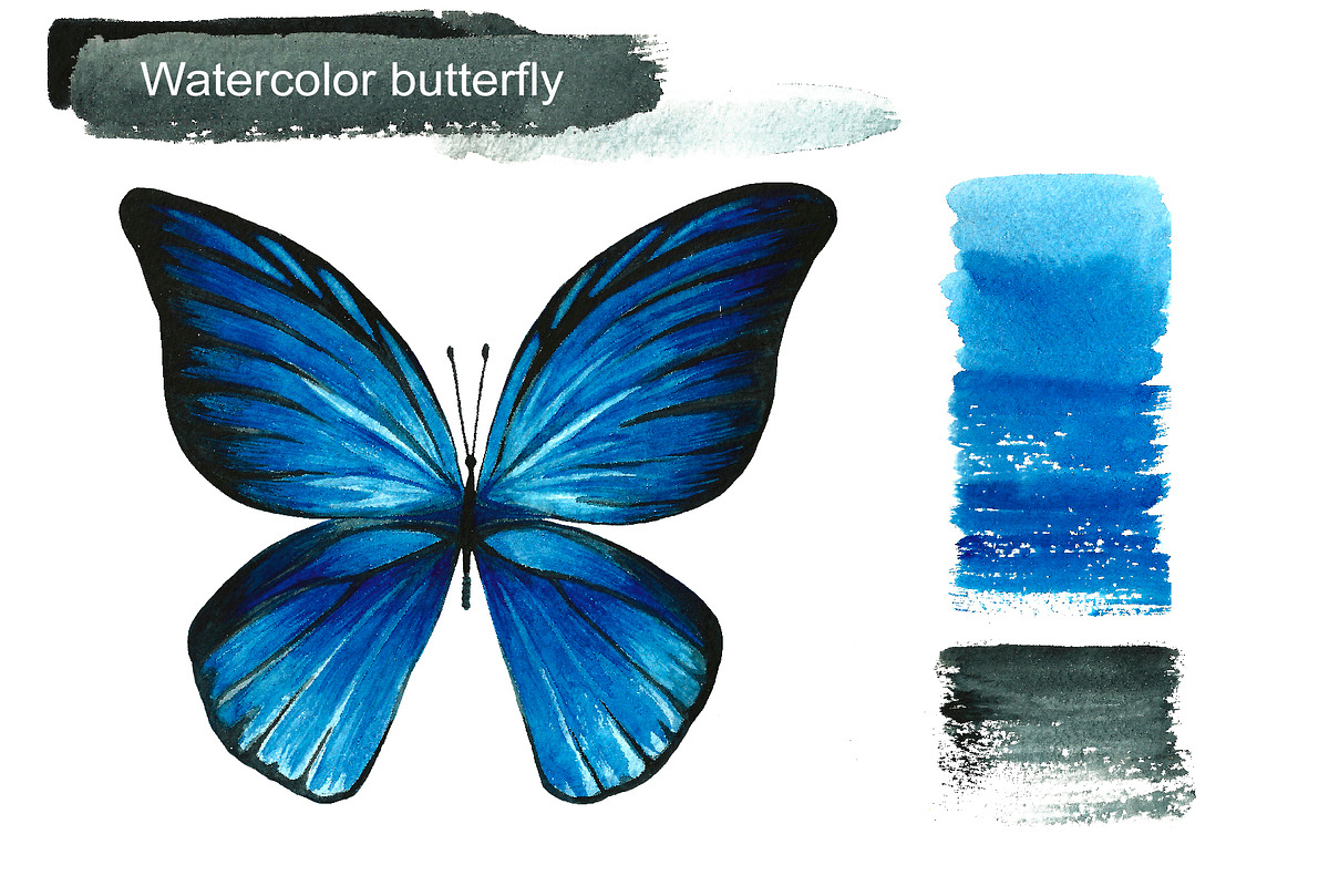 Blue watercolor butterflies, an Illustration by Art Watercolor (Photo 3 of 4)