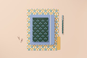 Blossom - Patterns, Shapes & Frames, a Pattern Graphic by Basia Stryjecka (Thumbnail 8 of 35)