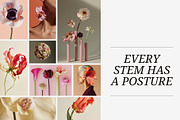 Bloom Atelier | 345 stock images, a Nature Photo by Tale.Haus (Thumbnail 12 of 20)