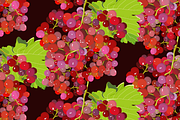 20+ fruit patterns, a Pattern Graphic by ОльгаМороз (Thumbnail 14 of 14)