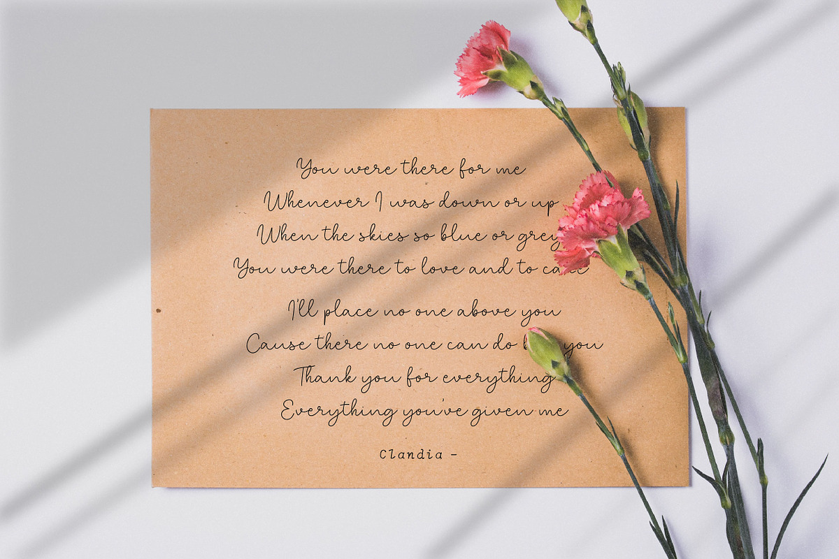 Clandia Monoline Script & Ornaments, a Script Font by Typebae (Photo 5 of 12)