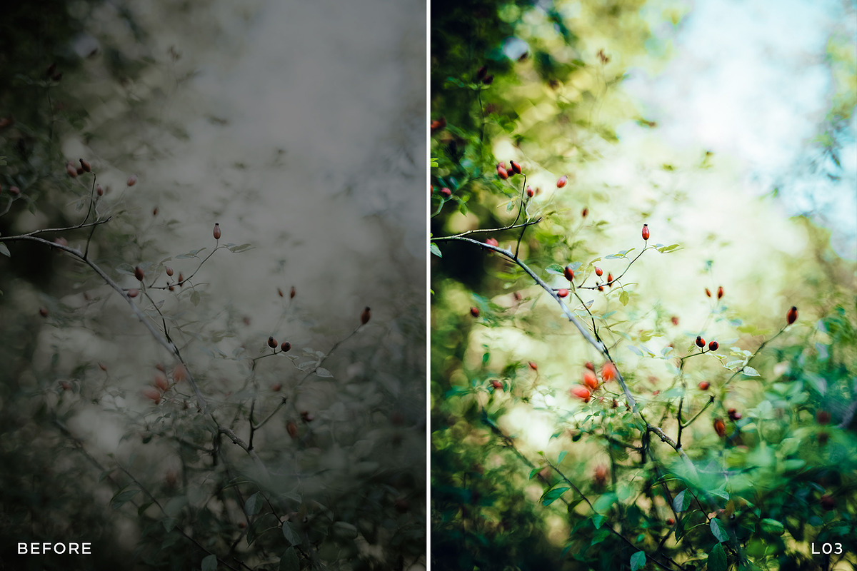 15 Leica Lightroom Presets, a Preset Add-On by Lavinsky Art Store (Photo 5 of 16)